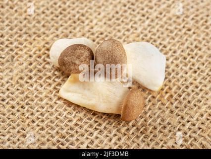 Drei Eringi-Pilze auf der Sackleinen Nahaufnahme Stockfoto