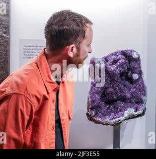 Cambridge, Großbritannien. 29.. Juni 2022. Amethyst Kristallkreide (vor 130 Millionen Jahren) 63 x 28 x 9 cm Brasilien. Est £3,7500.Extraordinary Objects Gallery, 14 Green St, Cambridge, Vom 2. Juli - 2. Oktober 2022 Credit: Paul Quezada-Neiman/Alamy Live News Stockfoto