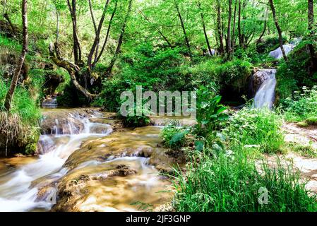 Bergbach mit kleinen Wasserfällen. Katusnica Fluss und Gostilje Wasserfälle, Berg Zlatoibor, Westserbien Stockfoto