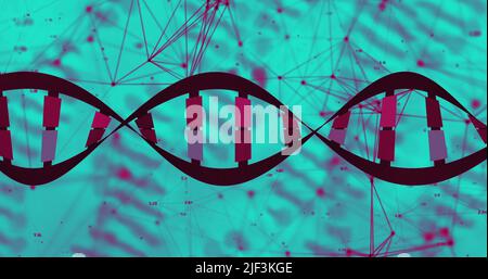 Bild von dna-Strang und Datenverarbeitung auf grünem Hintergrund Stockfoto