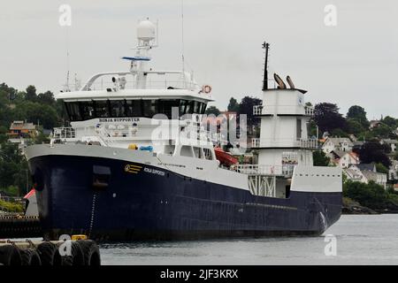 Ronja Supporter, Fish Carrier, IMO 9775359, MMSI 258187000, Leirvik, Stord, Vestlandet, Norwegen Stockfoto