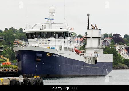 Ronja Supporter, Fish Carrier, IMO 9775359, MMSI 258187000, Leirvik, Stord, Vestlandet, Norwegen Stockfoto