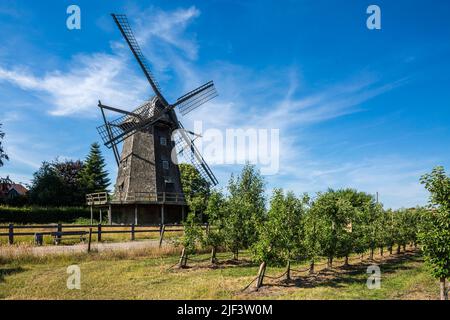 Deutschland, Coesfeld, Coesfeld-Lette, Berkel, Baumberge, Münsterland, Westfalen, Nordrhein-Westfalen, NRW, Windmühle in Lette Stockfoto