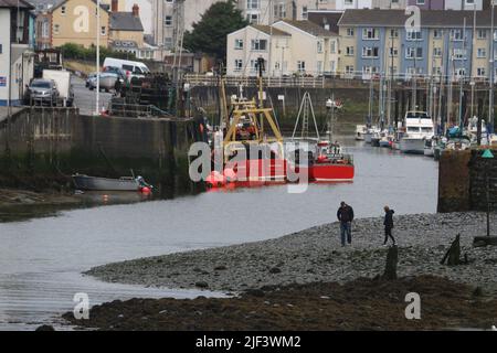 Aberystwyth Wales Vereinigtes Königreich Wetter 29. Juni 2022 . Warm und feucht und ein Tag der Sonne und Duschen an der walisischen Westküste . Die Menschen nehmen ihre Hunde mit auf Spaziergänge, viele genießen einen sanften Spaziergang durch den Hafen und Licht, Kajakfahrer paddeln am Sommertag in Wales ins Meer. Kredit: mike davies/Alamy Live Nachrichten Stockfoto