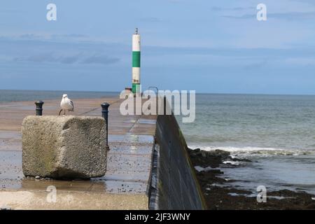 Aberystwyth Wales Vereinigtes Königreich Wetter 29. Juni 2022 . Warm und feucht und ein Tag der Sonne und Duschen an der walisischen Westküste . Die Menschen nehmen ihre Hunde mit auf Spaziergänge, viele genießen einen sanften Spaziergang durch den Hafen und Licht, Kajakfahrer paddeln am Sommertag in Wales ins Meer. Kredit: mike davies/Alamy Live Nachrichten Stockfoto