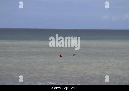 Aberystwyth Wales Vereinigtes Königreich Wetter 29. Juni 2022 . Warm und feucht und ein Tag der Sonne und Duschen an der walisischen Westküste . Die Menschen nehmen ihre Hunde mit auf Spaziergänge, viele genießen einen sanften Spaziergang durch den Hafen und Licht, Kajakfahrer paddeln am Sommertag in Wales ins Meer. Kredit: mike davies/Alamy Live Nachrichten Stockfoto