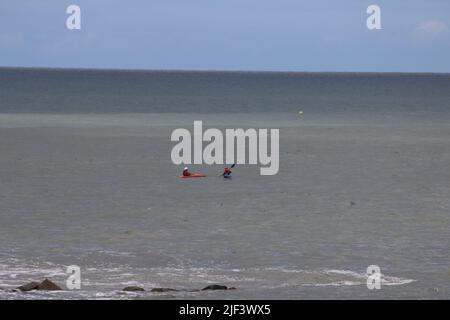 Aberystwyth Wales Vereinigtes Königreich Wetter 29. Juni 2022 . Warm und feucht und ein Tag der Sonne und Duschen an der walisischen Westküste . Die Menschen nehmen ihre Hunde mit auf Spaziergänge, viele genießen einen sanften Spaziergang durch den Hafen und Licht, Kajakfahrer paddeln am Sommertag in Wales ins Meer. Kredit: mike davies/Alamy Live Nachrichten Stockfoto