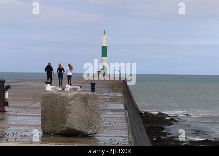 Aberystwyth Wales Vereinigtes Königreich Wetter 29. Juni 2022 . Warm und feucht und ein Tag der Sonne und Duschen an der walisischen Westküste . Die Menschen nehmen ihre Hunde mit auf Spaziergänge, viele genießen einen sanften Spaziergang durch den Hafen und Licht, Kajakfahrer paddeln am Sommertag in Wales ins Meer. Kredit: mike davies/Alamy Live Nachrichten Stockfoto