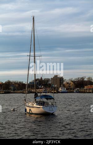 Yachten und Segelboote in der Bucht vor Anker. Schöner Hintergrund Stockfoto