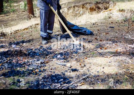 Der Mann in den Overalls sammelt Müll und Abfall im Wald. Ökologisches Problem der Verschmutzung der Natur. Volunteer mit Plastiktüte reinigt am Sommertag den Wald. Stockfoto