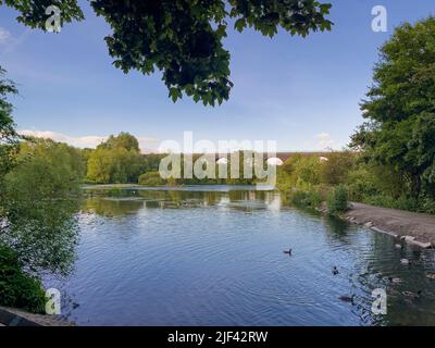 Rötlicher Vale-Fischteich mit Viadukt im Hintergrund, rötlicher Vale Country Park, Stockport, Großbritannien. Stockfoto