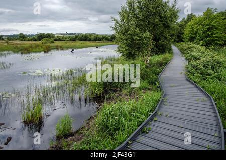 Die Promenade rund um das Naturschutzgebiet bei Cors Caron (Tregaron Bog), Ceredigion, Wales Stockfoto