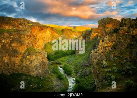 Beistand Creek Canyon mit Sonnenuntergang. Malheur Grafschaft, Oregon Stockfoto