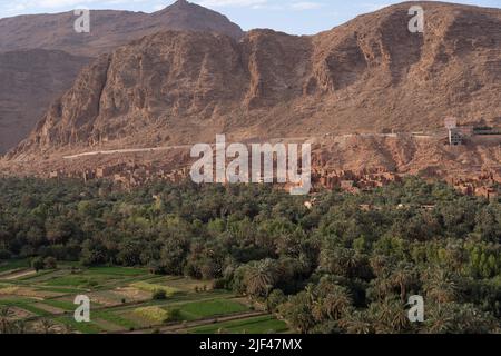 Eine Oase in der Wüste von Marokko Stockfoto