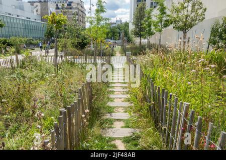 Jardin Truillot, Stadtpark im 11.. Arrondissement Paris, Parc Saint-Ambroise, Jardin Truillot, Paris, Frankreich. Stockfoto