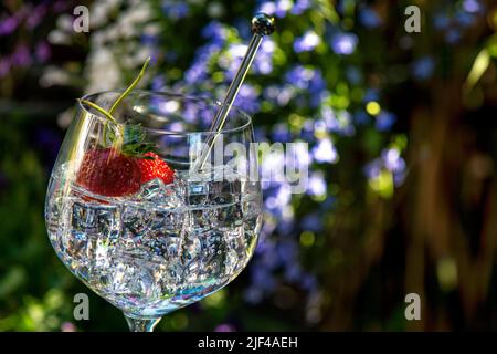 Gin und Tonic mit Erdbeeren und einem Mixer, natürliches Licht und Hintergrund, Sommergetränke Stockfoto