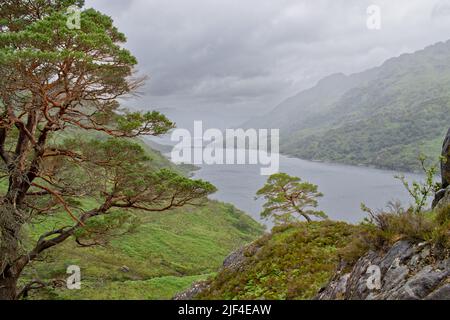 KINLOCH HOURN LOCH HOURN KNOYDART SCOTLAND IM SOMMER WIRD ES ÜBER DEM LOCH UND DEN HÜGELN HEFTIG REGNEN Stockfoto