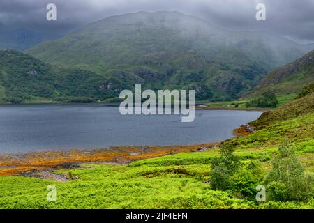 KINLOCH HOURN LOCH HOURN KNOYDART SCHOTTLAND FRÜHSOMMER DAS MEER LOCH UND REGEN ÜBER DEN BERGEN Stockfoto