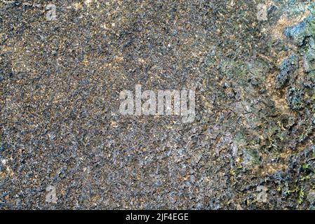 Vintage Hintergrund, Schmutz Wand Hintergrund Textur von rauer Zementwand mit Moos Fleck. Stockfoto