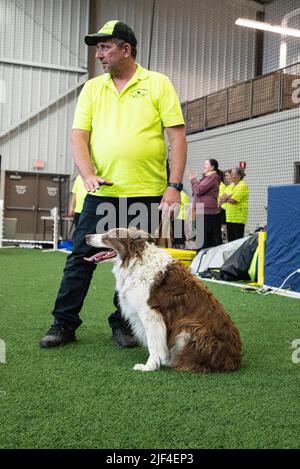 Hund und sein Meister auf der Woof a Roo Hundeausstellung in Kanada. Stockfoto