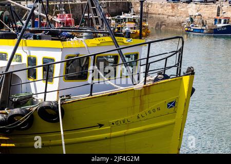 Nahaufnahme des Bogens und der Kabine des leuchtend gelben schottischen Fischtrawlers Girl Alison OB913 in Pittenweem Harbour, East Neuk Fife, Schottland, Großbritannien Stockfoto