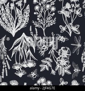 Teekräuter Nahtloses Muster im Hintergrund. Gravierte Ausführung. Handgezeichnete Kamille, Zimtrose usw. Stock Vektor