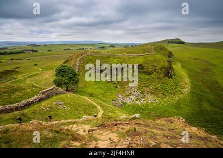 Der Abstieg nach Sycamore Gap von Highshield Crag, Northumberland, England Stockfoto