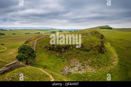 Nach Westen entlang der Hadrianmauer durch Sycamore Gap, wenn es Peel Crag bei Steel Rigg, Northumberland, England, bestiegen wird Stockfoto