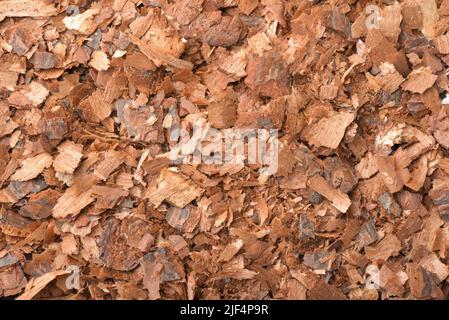 Draufsicht auf die Struktur der Kiefernrindenmulch-Chips Stockfoto