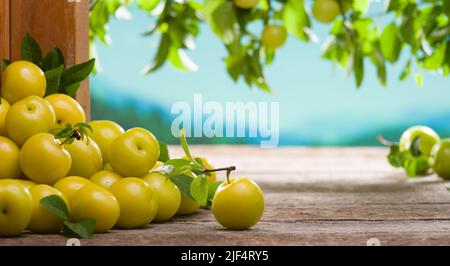 Gelbe reife Pflaumenfrüchte auf dem Tisch im Freien. Frühlingsbeeren und Bio-Früchte Konzept Stockfoto