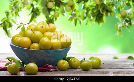 Gelbe reife Pflaumenfrüchte in einer blauen Schale auf rustikalem Tisch im Freien. Bio-Obst-Konzept Stockfoto