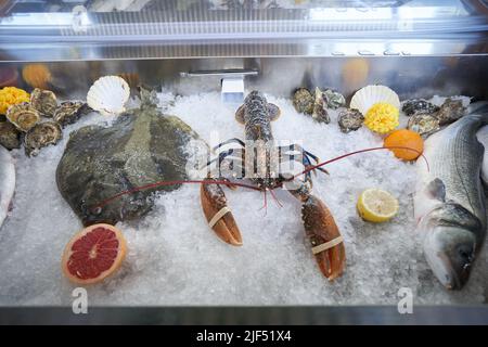 Hummer und Fisch liegen auf Eis im Kühlschrank. Stockfoto