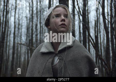 ANYA TAYLOR - Freude, die VVITCH: EINE NEUE - ENGLAND MÄRCHENS, 2015 Stockfoto