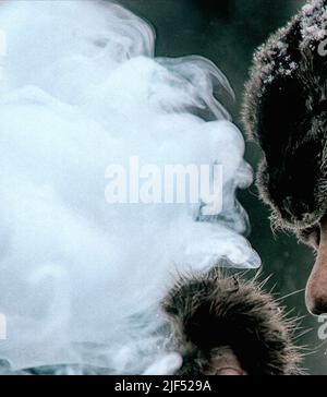 TOM HARDY, die WIEDERGÄNGER, 2015 Stockfoto