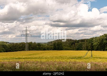 Landschaftsfoto der grünen Energie. Hochspannungsturm in der Mitte eines gelben deutschen Feldes Stockfoto