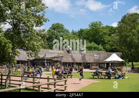 Allgemeine Ansicht des Cafés am Beechenhurst Forest im Forest of Dean, England, Großbritannien, an einem sonnigen Sommertag. Stockfoto