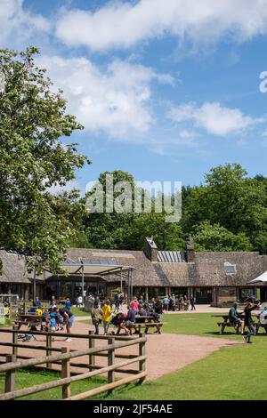 Allgemeine Ansicht des Cafés am Beechenhurst Forest im Forest of Dean, England, Großbritannien, an einem sonnigen Sommertag. Stockfoto