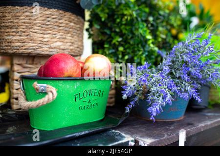 Rote Äpfel in einem grünen Metalleimer Stockfoto