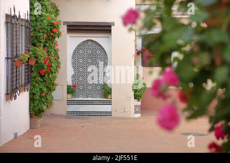 Idyllische Calle Manuel Cancho Moreno mit Mosaik und Blumenschmuck in Badajoz, Extremadura, Spanien Stockfoto