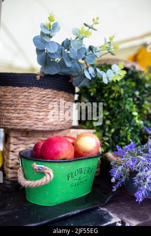 Rote Äpfel in einem grünen Metalleimer Stockfoto