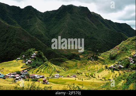 Mountain Province, Philippinen: Majestätische landwirtschaftliche Landschaft des alten Amphitheaters Banaue Rise Terrassen. Genannt Achteles Weltwunder. Stockfoto