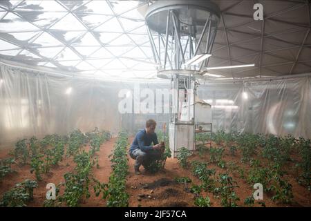 MATT DAMON, der Mars, 2015 Stockfoto