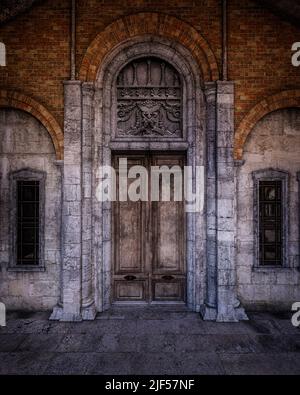 Alte hölzerne Tür mit dekorativ geschnitztem Steinbogen. 3D Abbildung. Stockfoto