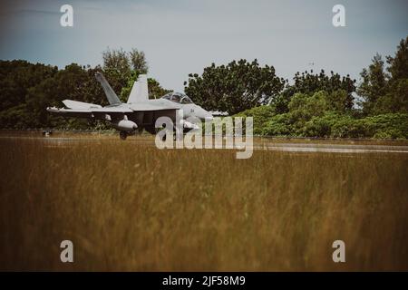 Ein US Navy EA-18G Growler landet auf Palau zur Unterstützung von Valiant Shield 22, 13. Juni 2022. Übungen wie Valiant Shield ermöglichen den Indo-Pacific Command Joint Forces die Möglichkeit, Kräfte aus allen Dienstbereichen zu integrieren, um präzise, tödliche und überwältigende Mehrachsen- und Mehrbereichseffekte durchzuführen, die die Stärke und Vielseitigkeit der Joint Force und unser Engagement für ein freies und offenes Indo-Pacific demonstrieren. (USA Marine Corps Foto von CPL. Samuel Fletcher) Stockfoto