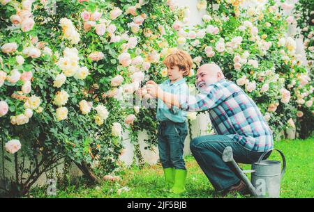 Großvater und Enkel. Alt und Jung. Konzept eines Rentenalters. Bärtiger Senior Gärtner in einem städtischen Garten. Vater und Sohn. Stockfoto