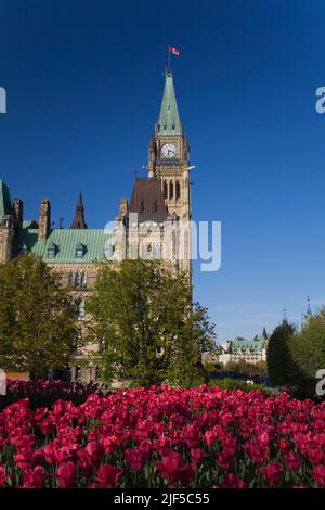 Teilansicht des Parlamentsgebäudes und des Peace Tower im Frühjahr, Ottawa, Ontario, Kanada. Stockfoto