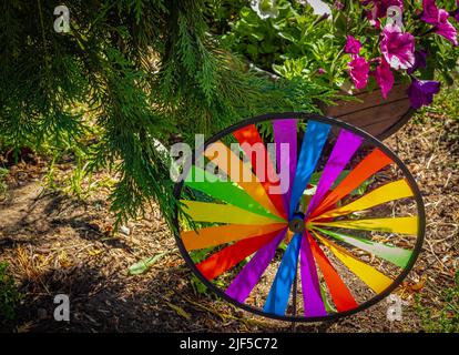 Farbwindmühle. Mehrfarbiger Windrad im Garten. Regenbogengarten Windrad an einem sonnigen Tag. Niemand, selektiver Fokus, Straßenfoto Stockfoto