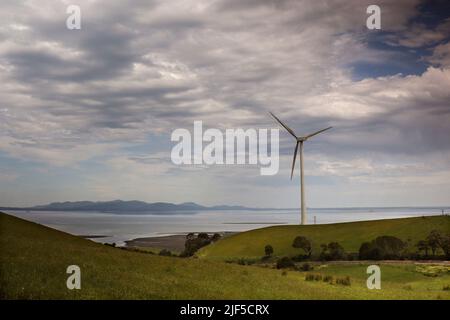 Australische Windfarm. Eine Windturbine, die Strom auf den Küstenhügeln in der Nähe der Stadt Toora in South Gippsland, Victoria, Australien, erzeugt. Stockfoto