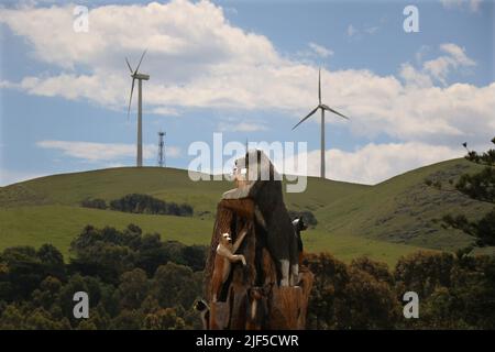 Australische Windfarm. Eine Windturbine, die Strom auf den Küstenhügeln in der Nähe der Stadt Toora in South Gippsland, Victoria, Australien, erzeugt. Stockfoto