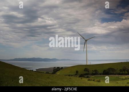 Australische Windfarm. Eine Windturbine, die Strom auf den Küstenhügeln in der Nähe der Stadt Toora in South Gippsland, Victoria, Australien, erzeugt. Stockfoto